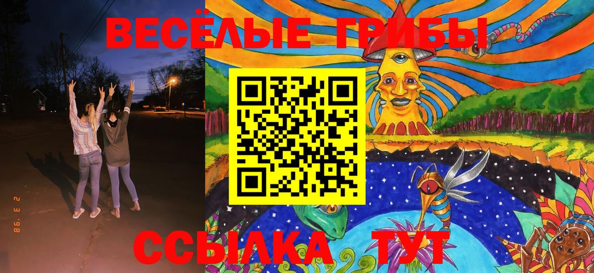 Псилоцибиновые грибы мухоморы  закладки  Надым  Вход с VPN 